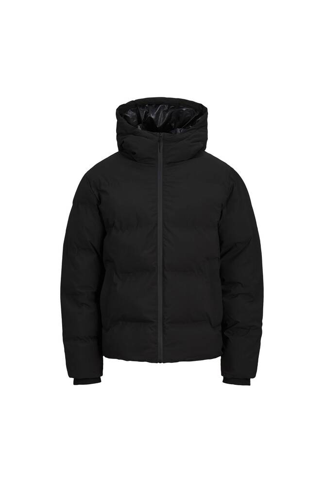 Erkek Payne Puffer Mont 12256887 Siyah 